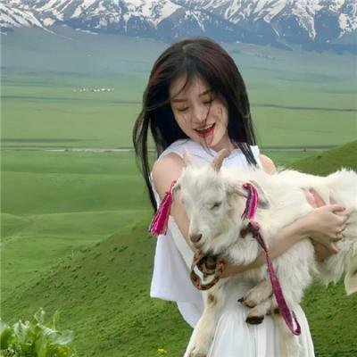 青春皇家恋曲